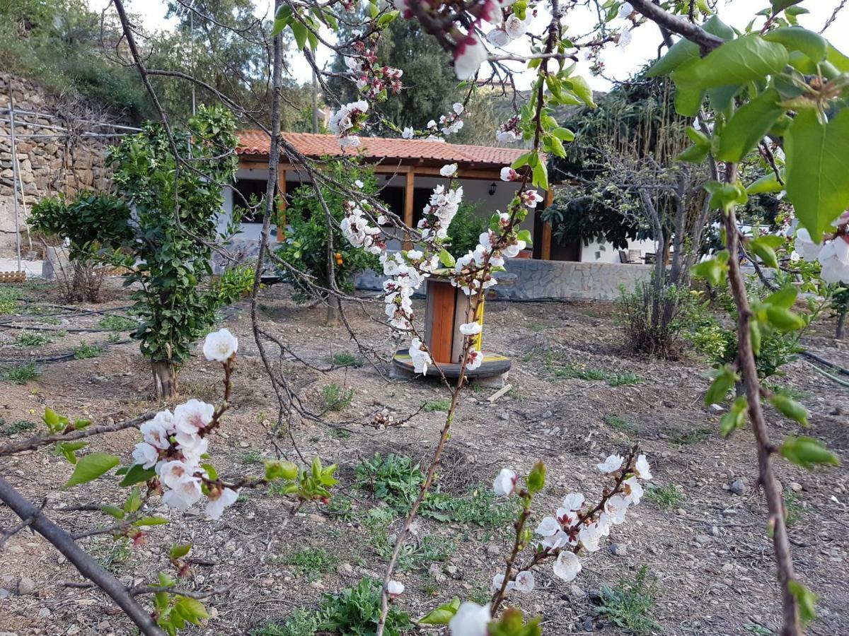 Casa Rural La Hoyita De Tunte San Bartolome de Tirajana  Exterior photo