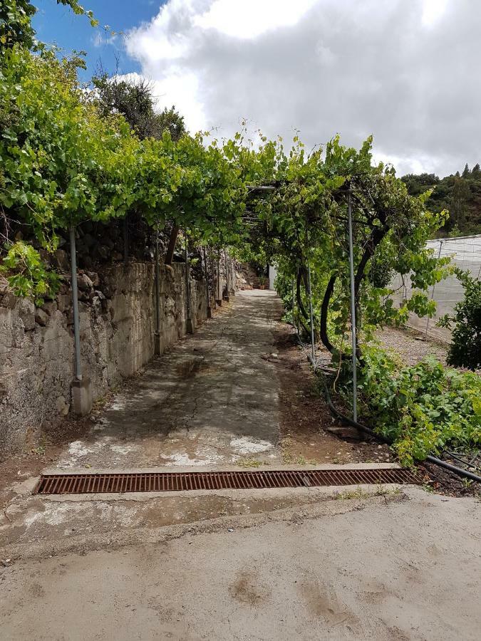 Casa Rural La Hoyita De Tunte San Bartolome de Tirajana  Exterior photo